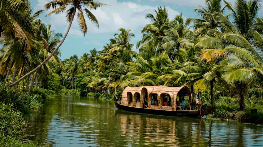Coconut palms reflected in Kerala’s backwaters
